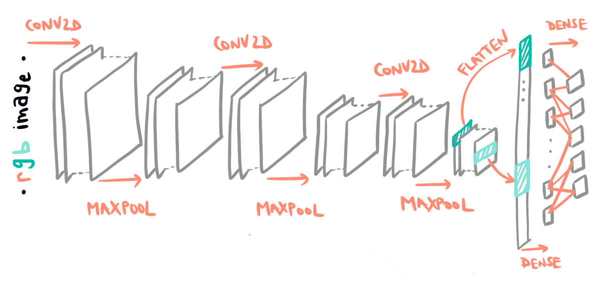 "Base model architecture"